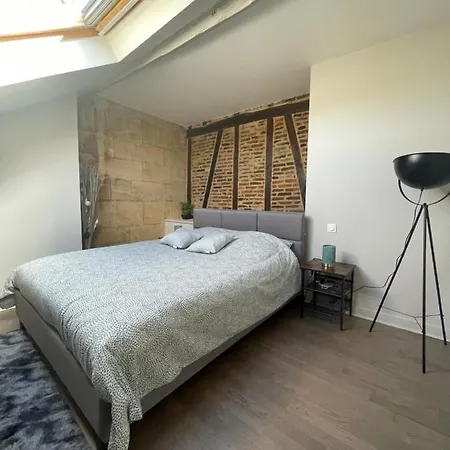 Apartamento De Charme En Hypercentre Charleville-Mézières